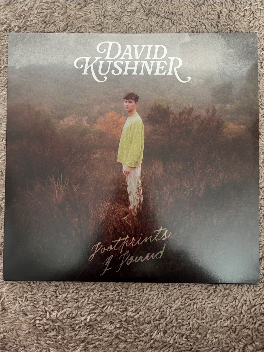 david kushner footprints i found vinyl